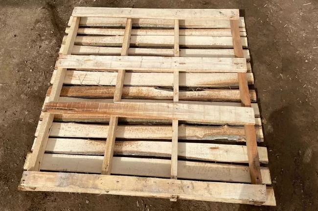 تنوع در طرح و ابعاد